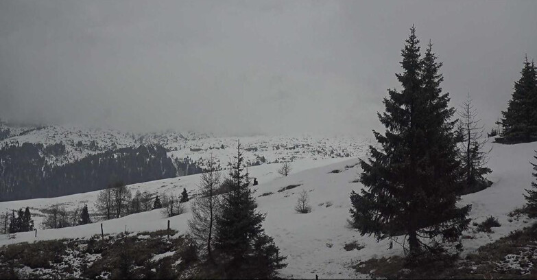 Webcam San Martino di Castrozza - Passo Rolle  - Passo Rolle - Bocche