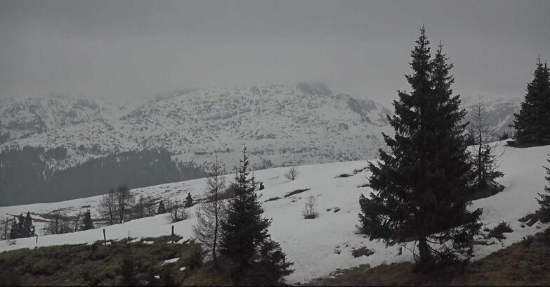 Webcam San Martino di Castrozza - Passo Rolle  - Passo Rolle - Bocche