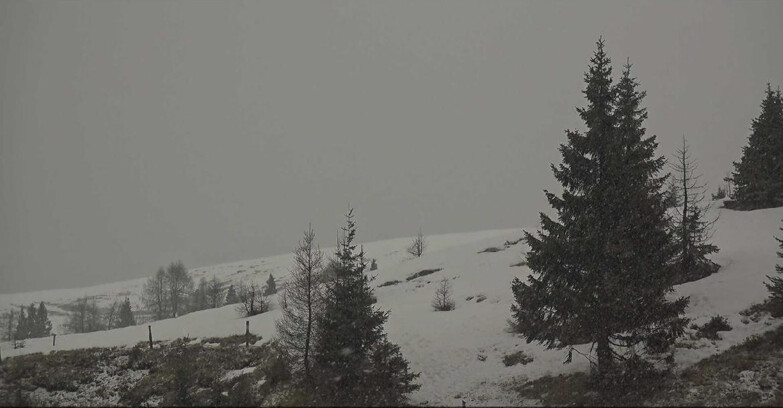 Webcam San Martino di Castrozza - Passo Rolle  - Passo Rolle - Bocche