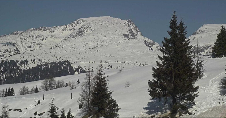 Webcam Сан-Мартино-ди-Кастроцца - Пассо-Ролле - Passo Rolle - Bocche