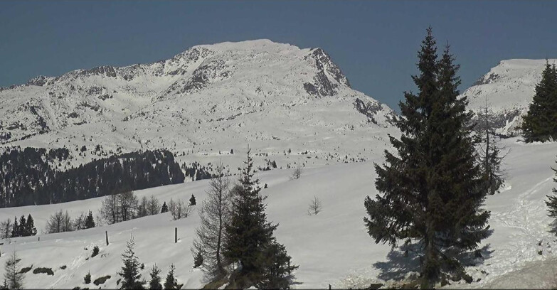 Webcam Сан-Мартино-ди-Кастроцца - Пассо-Ролле - Passo Rolle - Bocche