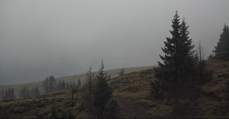 Webcam San Martino di Castrozza - Passo Rolle - Passo Rolle - Bocche