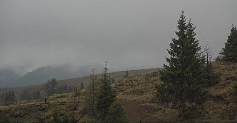 Webcam San Martino di Castrozza - Passo Rolle - Passo Rolle - Bocche