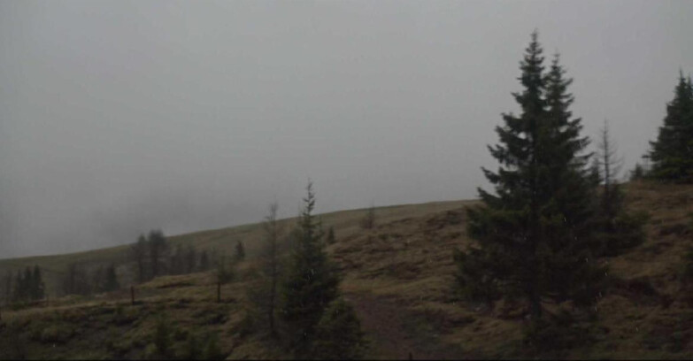 Webcam San Martino di Castrozza - Passo Rolle - Passo Rolle - Bocche