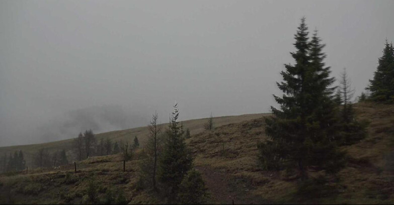 Webcam San Martino di Castrozza - Passo Rolle - Passo Rolle - Bocche