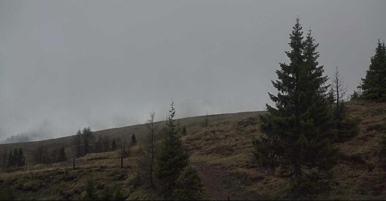 Webcam San Martino di Castrozza - Passo Rolle - Passo Rolle - Bocche