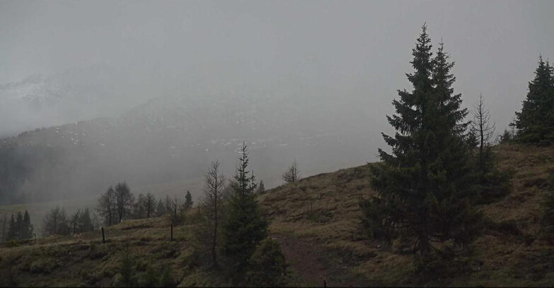 Webcam San Martino di Castrozza - Passo Rolle - Passo Rolle - Bocche