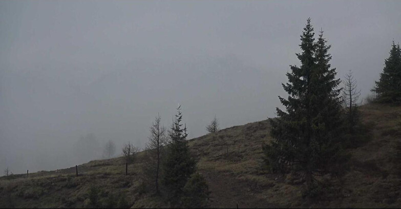 Webcam San Martino di Castrozza - Passo Rolle - Passo Rolle - Bocche