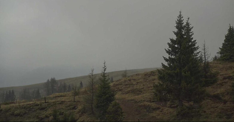 Webcam San Martino di Castrozza - Passo Rolle - Passo Rolle - Bocche