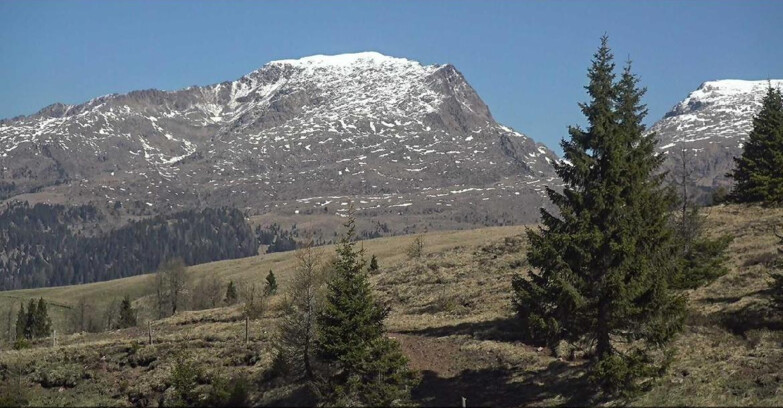 Webcam San Martino di Castrozza - Passo Rolle  - Passo Rolle - Bocche