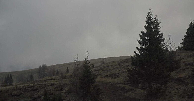 Webcam San Martino di Castrozza - Passo Rolle  - Passo Rolle - Bocche