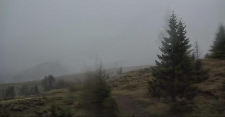 Webcam Сан-Мартино-ди-Кастроцца - Пассо-Ролле - Passo Rolle - Bocche