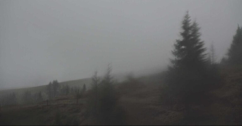 Webcam San Martino di Castrozza - Passo Rolle - Passo Rolle - Bocche