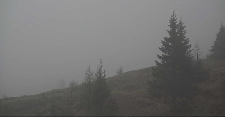Webcam Сан-Мартино-ди-Кастроцца - Пассо-Ролле - Passo Rolle - Bocche