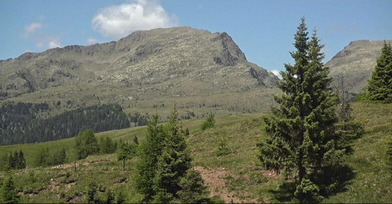 Webcam San Martino di Castrozza - Passo Rolle - Passo Rolle - Bocche