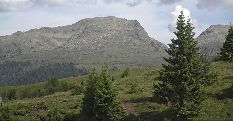 Webcam Сан-Мартино-ди-Кастроцца - Пассо-Ролле - Passo Rolle - Bocche