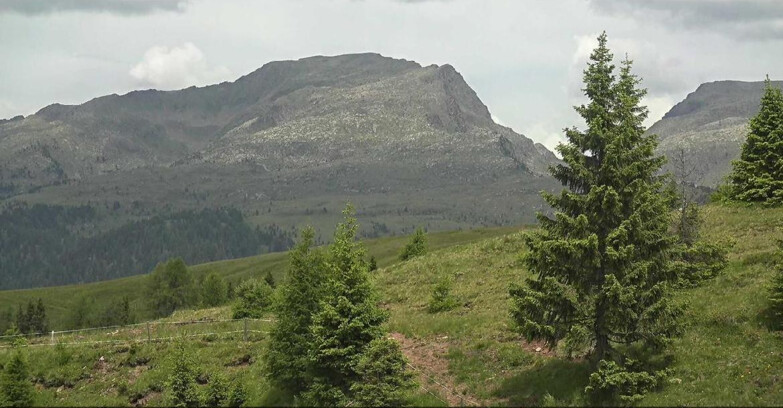 Webcam Сан-Мартино-ди-Кастроцца - Пассо-Ролле - Passo Rolle - Bocche