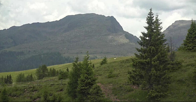 Webcam Сан-Мартино-ди-Кастроцца - Пассо-Ролле - Passo Rolle - Bocche