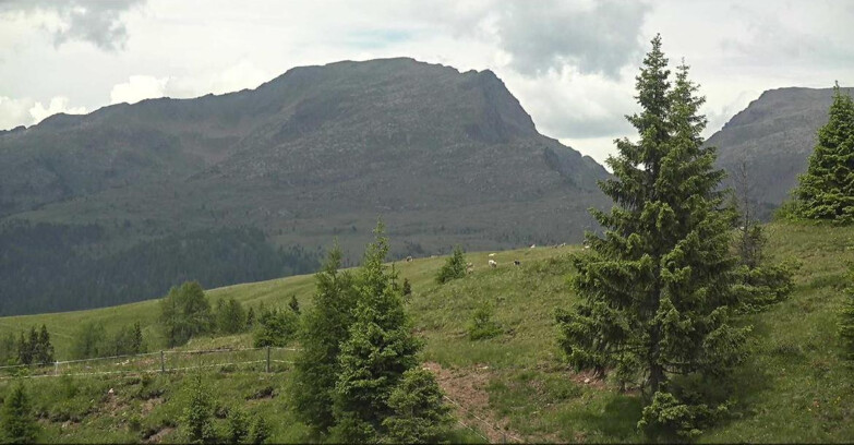 Webcam San Martino di Castrozza - Passo Rolle - Passo Rolle - Bocche