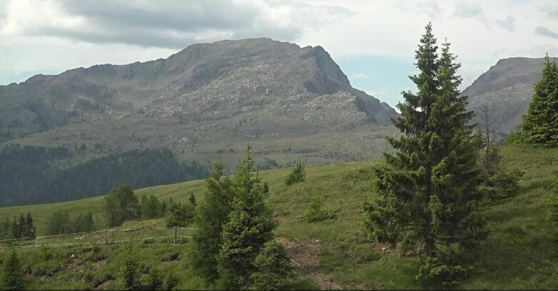 Webcam Сан-Мартино-ди-Кастроцца - Пассо-Ролле - Passo Rolle - Bocche