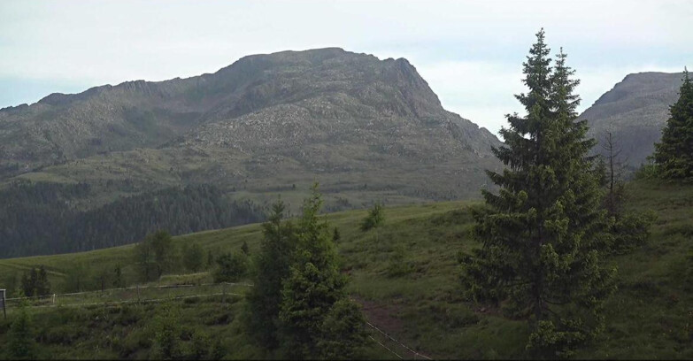 Webcam Сан-Мартино-ди-Кастроцца - Пассо-Ролле - Passo Rolle - Bocche