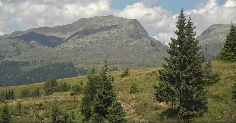 Webcam San Martino di Castrozza - Passo Rolle - Passo Rolle - Bocche
