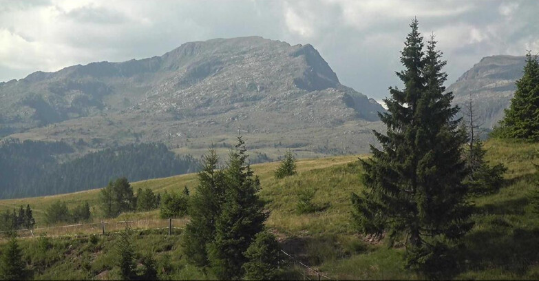 Webcam San Martino di Castrozza - Passo Rolle - Passo Rolle - Bocche