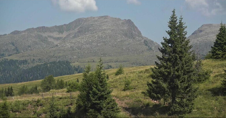Webcam San Martino di Castrozza - Passo Rolle - Passo Rolle - Bocche