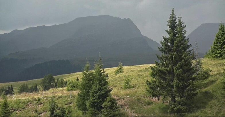 Webcam San Martino di Castrozza - Passo Rolle - Passo Rolle - Bocche