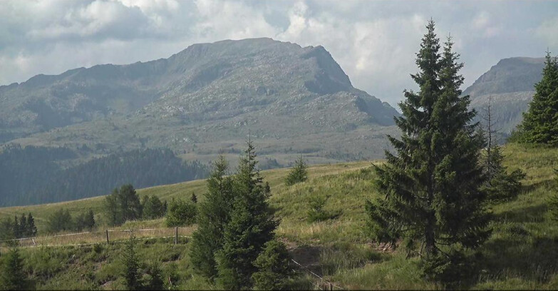 Webcam San Martino di Castrozza - Passo Rolle  - Passo Rolle - Bocche