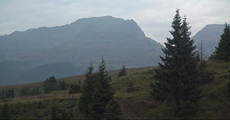 Webcam San Martino di Castrozza - Passo Rolle  - Passo Rolle - Bocche