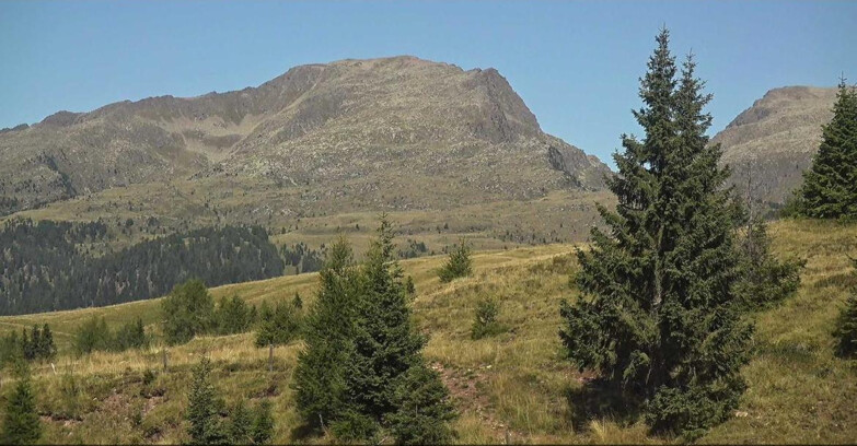 Webcam San Martino di Castrozza - Passo Rolle - Passo Rolle - Bocche