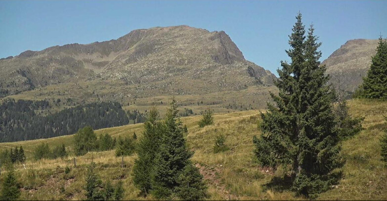 Webcam San Martino di Castrozza - Passo Rolle - Passo Rolle - Bocche