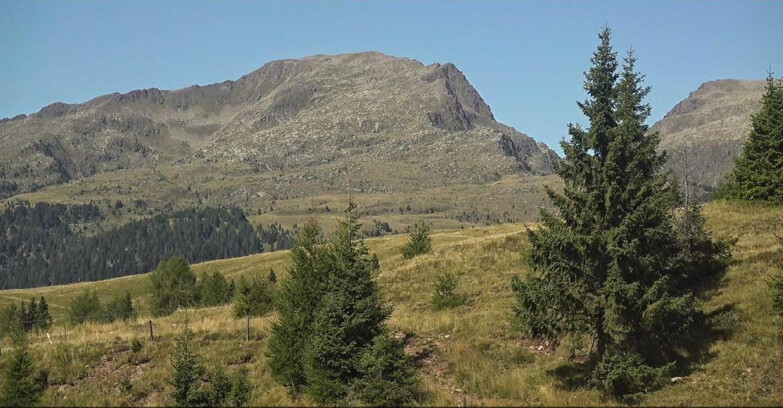 Webcam San Martino di Castrozza - Passo Rolle - Passo Rolle - Bocche