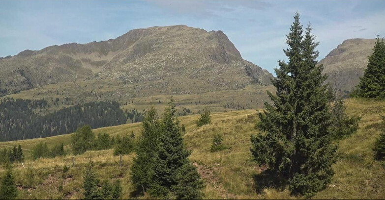 Webcam San Martino di Castrozza - Passo Rolle - Passo Rolle - Bocche
