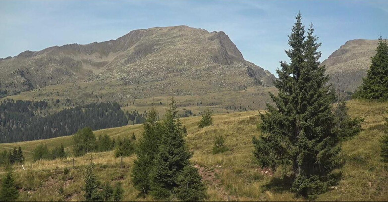 Webcam San Martino di Castrozza - Passo Rolle - Passo Rolle - Bocche