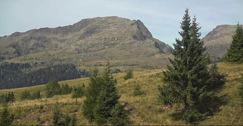 Webcam San Martino di Castrozza - Passo Rolle - Passo Rolle - Bocche