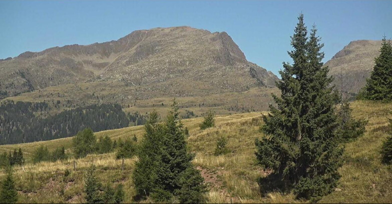 Webcam San Martino di Castrozza - Passo Rolle  - Passo Rolle - Bocche