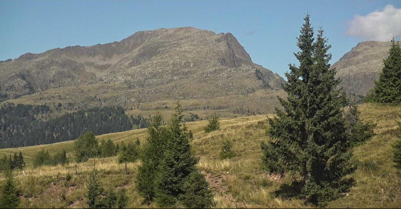 Webcam San Martino di Castrozza - Passo Rolle  - Passo Rolle - Bocche