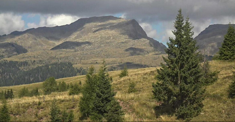 Webcam San Martino di Castrozza - Passo Rolle - Passo Rolle - Bocche