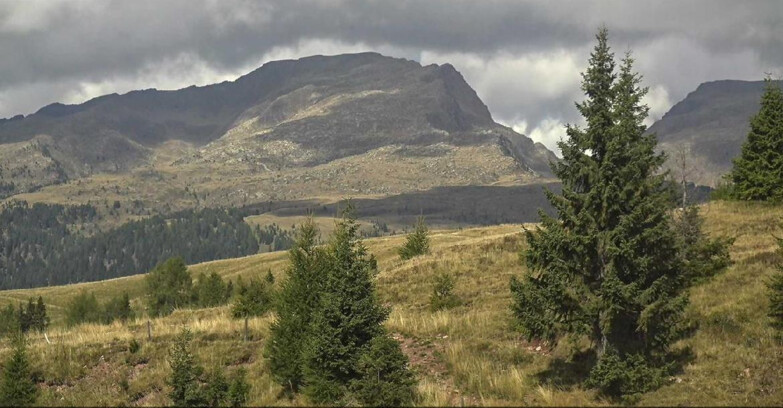 Webcam San Martino di Castrozza - Passo Rolle - Passo Rolle - Bocche