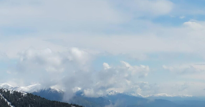 Webcam Madonna di Campiglio - Area Grostè