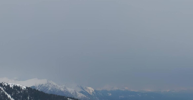 Webcam Madonna di Campiglio - Area Grostè