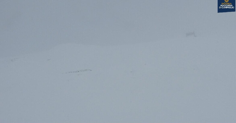Webcam Madonna di Campiglio - Campiglio Dolomiti di Brenta
