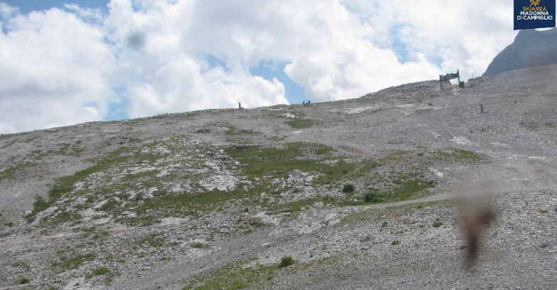Webcam Madonna di Campiglio - Brenta Dolomites