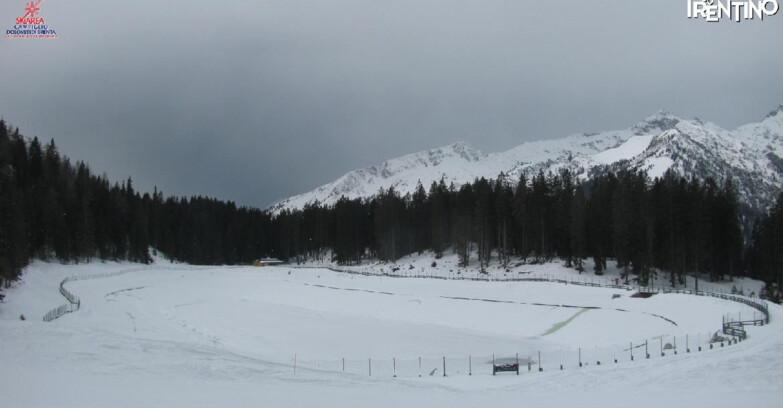 Webcam Madonna di Campiglio - Lago Montagnoli