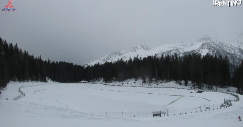 Webcam Madonna di Campiglio - Lago Montagnoli