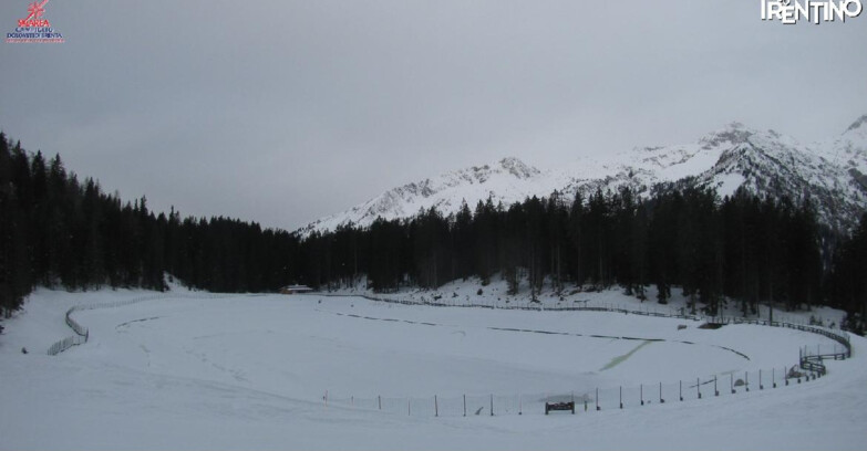 Webcam Madonna di Campiglio - Lago Montagnoli