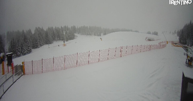 Webcam Pinzolo - Pinzolo -Grual e Clump 