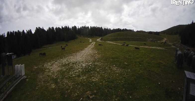 Webcam Pinzolo - Pinzolo -Grual e Clump 